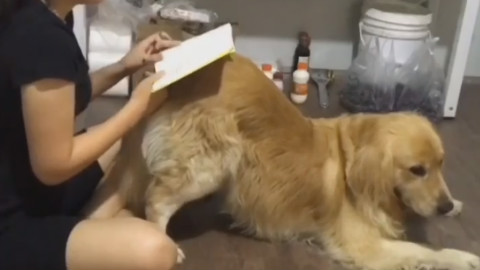咱家是买不起桌子嘛